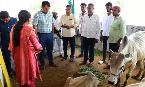 రాజన్న కోడెలకు సంబంధించి హెల్త్ బులెటిన్ విడుదల