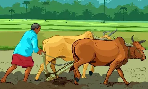 వ్యవసాయాన్ని పరిశ్రమగా గుర్తించాలి!