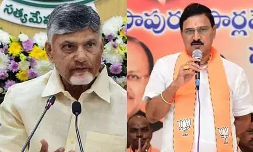 ఏపీ అభివృద్ధిపై కేంద్రమంత్రి శ్రీనివాసవర్మ కీలక వ్యాఖ్యలు