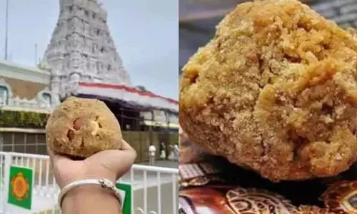 తిరుపతి లడ్డూ నెయ్యి కేసులో కీలక పరిణామం