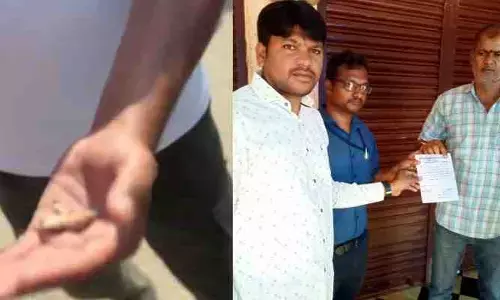 వడ పార్శిల్‌లో బల్లి.. కంగుతిన్న  పిల్లలు..