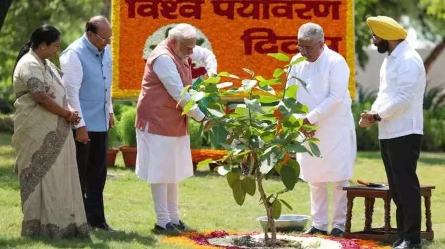 Modi: ఇంట్లో సిందూర మొక్కను నాటిన మోడీ..దాని ప్రత్యేకత ఏంటంటే? Modi: ఇంట్లో సిందూర మొక్కను నాటిన మోడీ..దాని ప్రత్యేకత ఏంటంటే?