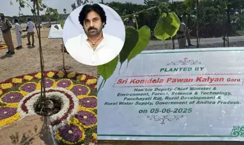Pawan kalyan: ఒకప్పుడు చెట్టే మన అడ్రస్.. మళ్లీ ఆ పరిస్థితి రావాలి.. ఉప ముఖ్యమంత్రి పవన్​కల్యాణ్​