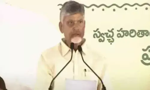 వైసీపీ సర్కార్ చెట్లు నరకడం తప్ప పెంచింది లేదు: సీఎం చంద్రబాబు హాట్ కామెంట్స్