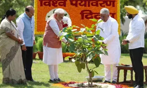 Modi: ఇంట్లో సిందూర మొక్కను నాటిన మోడీ..దాని ప్రత్యేకత ఏంటంటే?