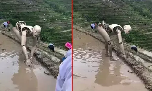 Robot in farm work : వ్యవసాయం చేస్తున్న రోబో..! మనుషులతోపాటు పొలం చదును చేస్తూ.. (వీడియో)