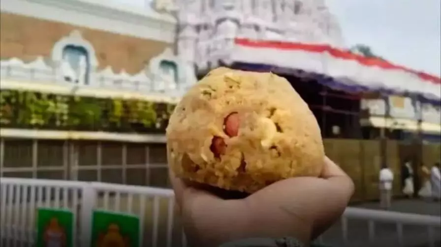 ఆన్లైన్లో తిరుమల లడ్డు.. టీటీడీ సీరియస్ వార్నింగ్ ఆన్లైన్లో తిరుమల లడ్డు.. టీటీడీ సీరియస్ వార్నింగ్