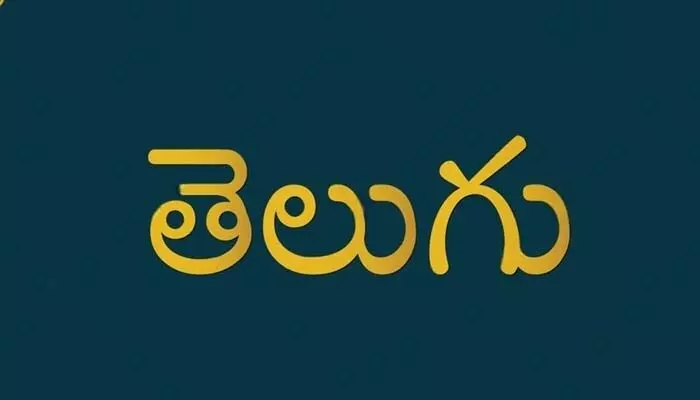 రాజకీయ భజనపరులు ఉన్నంతవరకు.. మాతృభాషపై శీతకన్నే రాజకీయ భజనపరులు ఉన్నంతవరకు.. మాతృభాషపై శీతకన్నే