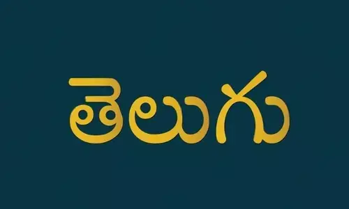 రాజకీయ భజనపరులు ఉన్నంతవరకు.. మాతృభాషపై శీతకన్నే
