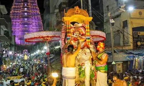 గ‌జవాహ‌నంపై శ్రీ గోవిందరాజస్వామి.. హారతులు పట్టిన భక్తులు