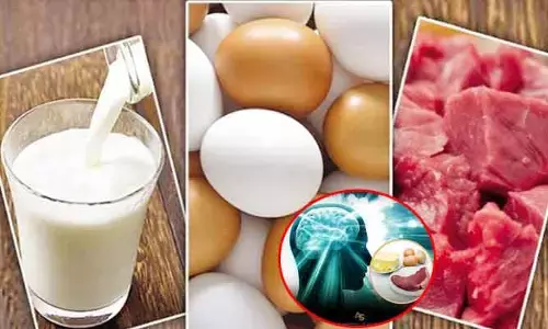 Red meat : డిమెన్షియా రిస్క్‌ను తగ్గిస్తున్న కొవ్వు పదార్థాలు.. వీటిని అస్సలు మిస్ అవ్వొద్దంటున్న నిపుణులు !