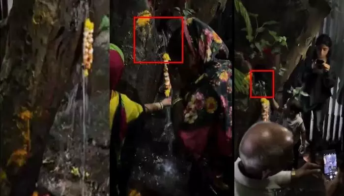Viral video: చెట్టు నుంచి నీళ్లు.. ‘పవిత్ర జలం’ అనుకోని స్థానికుల పూజలు.. చివరికి ఏమైందంటే? Viral video: చెట్టు నుంచి నీళ్లు.. ‘పవిత్ర జలం’ అనుకోని స్థానికుల పూజలు.. చివరికి ఏమైందంటే?