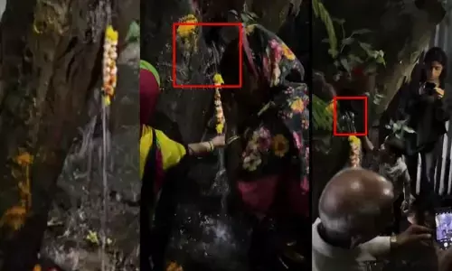 Viral video: చెట్టు నుంచి నీళ్లు.. ‘పవిత్ర జలం’ అనుకోని స్థానికుల పూజలు.. చివరికి ఏమైందంటే?