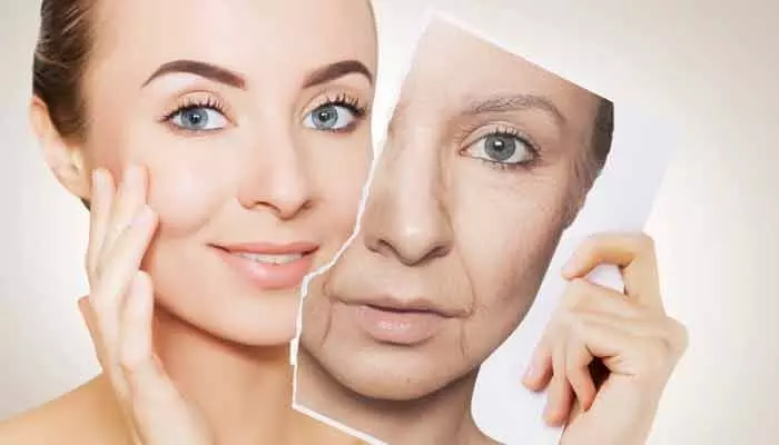 Beauty Tips : చిన్న వయసులో వృద్ధాప్య ఛాయలా..? యంగెస్ట్ లుక్స్ కోసం టిప్స్ ఇవిగో..! Beauty Tips : చిన్న వయసులో వృద్ధాప్య ఛాయలా..? యంగెస్ట్ లుక్స్ కోసం టిప్స్ ఇవిగో..!
