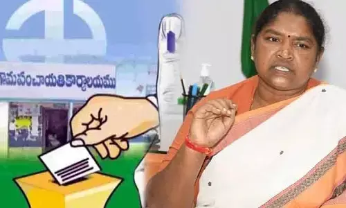 Seethakka: జూలై నాటికి సర్పంచ్ ఎన్నికలు: మంత్రి సీతక్క