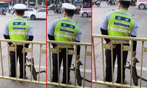 Viral video : అలా చూస్తూ రోడ్డుపై నిలబడి ఉన్న ట్రాఫిక్ పోలీస్.. అంతలోనే ఏం జరిగిందో తెలిస్తే షాక్ అవ్వాల్సిందే!!