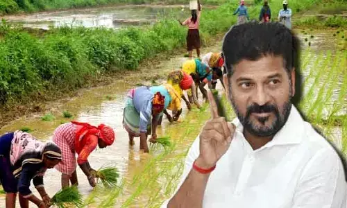 రేపు 1034 రైతు వేదికల్లో రైతునేస్తం!