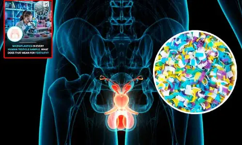 Health : టెస్టికల్స్‌లో పేరుకుపోతున్న మైక్రో ప్లాస్టిక్స్.. సంతానలేమి సమస్యలకు అవే కారణమా..?