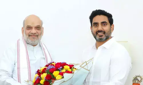 కేంద్ర హోంమంత్రి అమిత్ షాతో మంత్రి లోకేశ్ భేటీ.. కీలక అంశాలపై చర్చ