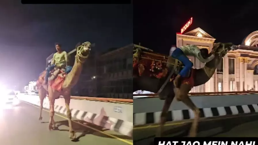 ఫుల్లుగా తాగి హైదరాబాద్ రోడ్ల మీద ఒంటెపై సవారీ..వైరల్ అవుతున్న షాకింగ్ వీడియో! ఫుల్లుగా తాగి హైదరాబాద్ రోడ్ల మీద ఒంటెపై సవారీ..వైరల్ అవుతున్న షాకింగ్ వీడియో!