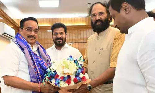 గోదావరి-బనకచర్ల ప్రాజెక్ట్‌కు అనుమతులివ్వొద్దు.. సీఆర్ పాటిల్‌కు సీఎం రేవంత్ బృందం విజ్ఞప్తి