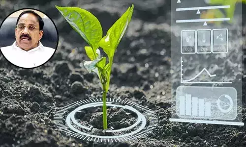 AI in Agriculture: వ్యవసాయ రంగంలో ఏఐ.. మంత్రి తుమ్మలతో నెదర్లాండ్ కంపెనీ ప్రతినిధులు భేటీ