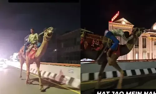 ఫుల్లుగా తాగి హైదరాబాద్ రోడ్ల మీద ఒంటెపై సవారీ..వైరల్ అవుతున్న షాకింగ్ వీడియో!