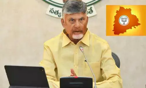 CM Chandrababu: తెలంగాణ బీజేపీ బనకచర్లను వ్యతిరేకించలేదు.. చంద్రబాబు  ఇంట్రెస్టింగ్ కామెంట్స్