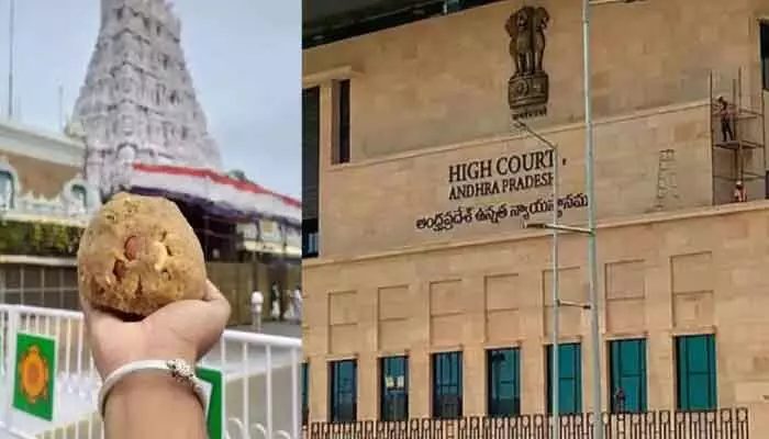 తిరుమల కల్తీ నెయ్యి వ్యవహారం.. ఆ అధికారి నోటీసులివ్వడంపై హైకోర్టు అభ్యంతరం తిరుమల కల్తీ నెయ్యి వ్యవహారం.. ఆ అధికారి నోటీసులివ్వడంపై హైకోర్టు అభ్యంతరం