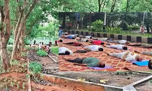 Yoga Andhra-2025: ప్రపంచ రికార్డు సృష్టించేలా యోగాంధ్ర.. ఆ పార్క్‌లో ప్రత్యేక ఏర్పాట్లు