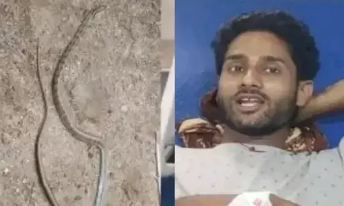వ్యక్తిని కాటేయగానే చనిపోయిన విషపూరిత పాము.. కారణం ఏంటంటే?