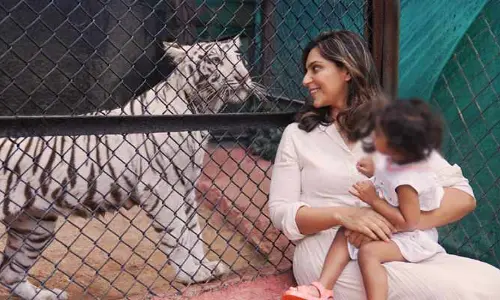 Upasana Konidela: మెగా ఫ్యామిలీలోకి కొత్త మెంబర్.. పోస్ట్‌తో గుడ్ న్యూస్ రివీల్ చేసిన మెగా కోడలు.. ఫుల్ ఖుషీలో ఫ్యాన్స్