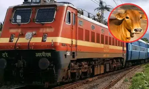 పట్టాలపై గోవును ఢీకొట్టిన రైలు.. ఆ తర్వాత ఏం జరిగిందంటే..?