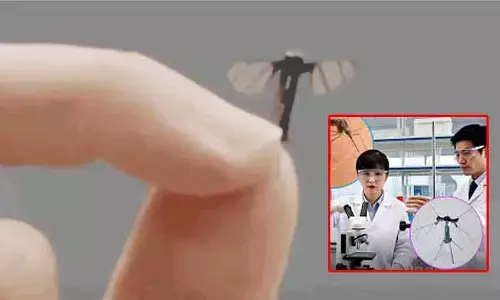 Mosquito drones : వావ్.. దోమ సైజు డ్రోన్లను చూశారా..? వీటి ఉపయోగాలు ఏమిటంటే..