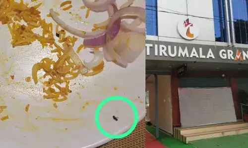 ఏవండోయ్ ఇది తిన్నారా..! ఈగలు, వెంట్రుకలతో బిర్యాని.. తిరుమల గ్రాండ్ హోటల్ లో