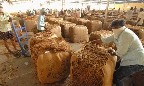 AP News : పొగాకు రైతులకు సర్కార్ భారీ గుడ్ న్యూస్