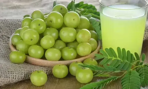 ఉదయాన్నే కాసింత ఉసిరి రసం.. ఈ రోగాలన్నింటికీ చెక్