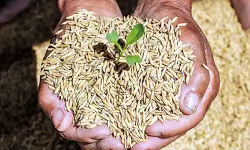 లీఫ్స్ సంస్థ సరికొత్త ప్రయోగం.. టార్గెట్ లక్ష మంది రైతులు