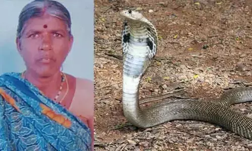వానాకాలం వచ్చింది.. జర భద్రం.. పాముకాటుకు గురై వృద్దురాలు మృతి