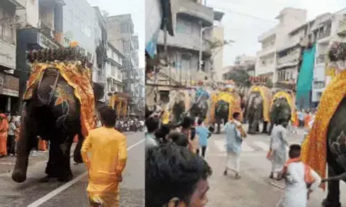 జగన్నాథ రథయాత్రలో అపశృతి.. ఏనుగు బీభత్సం, తొక్కిసలాట