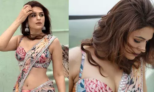 Shraddha Das: చీరలో ఐకాన్‌స్టార్ బ్యూటీ అందాల ఆరబోత.. సెక్సీ నాభి అంటూ నెటిజన్లు హాట్ కామెంట్లు