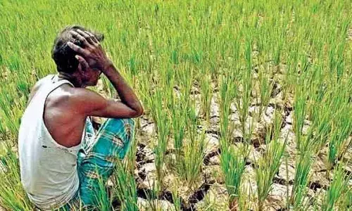 రైతు రాజయ్యేదెన్నడు..?