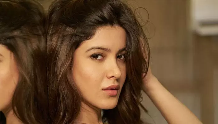 ఇండస్ట్రీలో ఎన్నో సవాళ్లు ఎదుర్కొన్నా.. చాలా నేర్చుకున్నానంటూ షానయా కపూర్ ఎమోషనల్ కామెంట్స్ ఇండస్ట్రీలో ఎన్నో సవాళ్లు ఎదుర్కొన్నా.. చాలా నేర్చుకున్నానంటూ షానయా కపూర్ ఎమోషనల్ కామెంట్స్