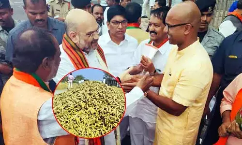 NZB: పసుపు బోర్డు కార్యాలయాన్ని ప్రారంభించిన అమిత్ షా
