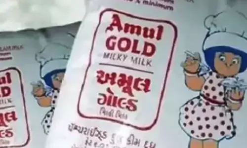 Amul: భారత దిగ్గజ ఫుడ్ బ్రాండ్‌గా అమూల్