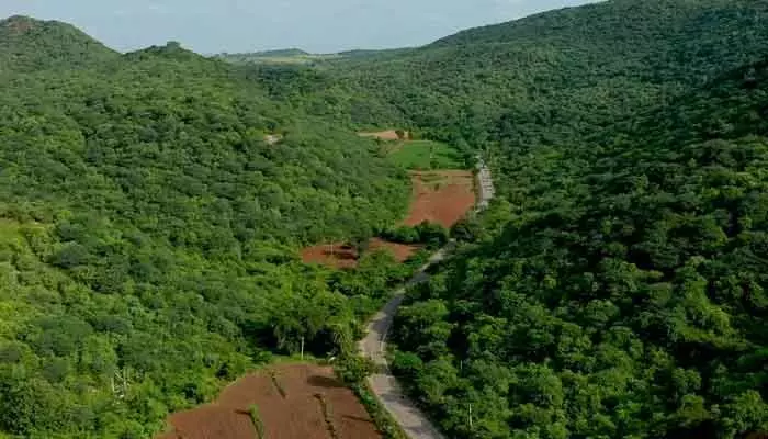 దేవుడి దర్శనానికి వెళ్లి ఇద్దరు గల్లంతు.. గాలింపు దేవుడి దర్శనానికి వెళ్లి ఇద్దరు గల్లంతు.. గాలింపు