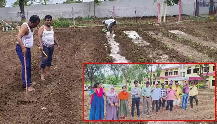 పార పట్టి.. సేద్యం చేసి.. డ్రాపౌట్స్ తగ్గించేందుకు అధ్యాపకుల వినూత్న ఆలోచన పార పట్టి.. సేద్యం చేసి.. డ్రాపౌట్స్ తగ్గించేందుకు అధ్యాపకుల వినూత్న ఆలోచన