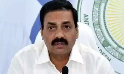 CID Custody: కాకాణికి ప్రశ్నల వర్షం