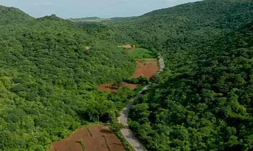 దేవుడి దర్శనానికి వెళ్లి ఇద్దరు గల్లంతు.. గాలింపు