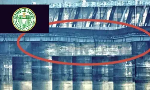 Kaleswaram Project : కాళేశ్వరంపై కమిషన్‌కు ప్రభుత్వ కేబినెట్ మినిట్స్‌